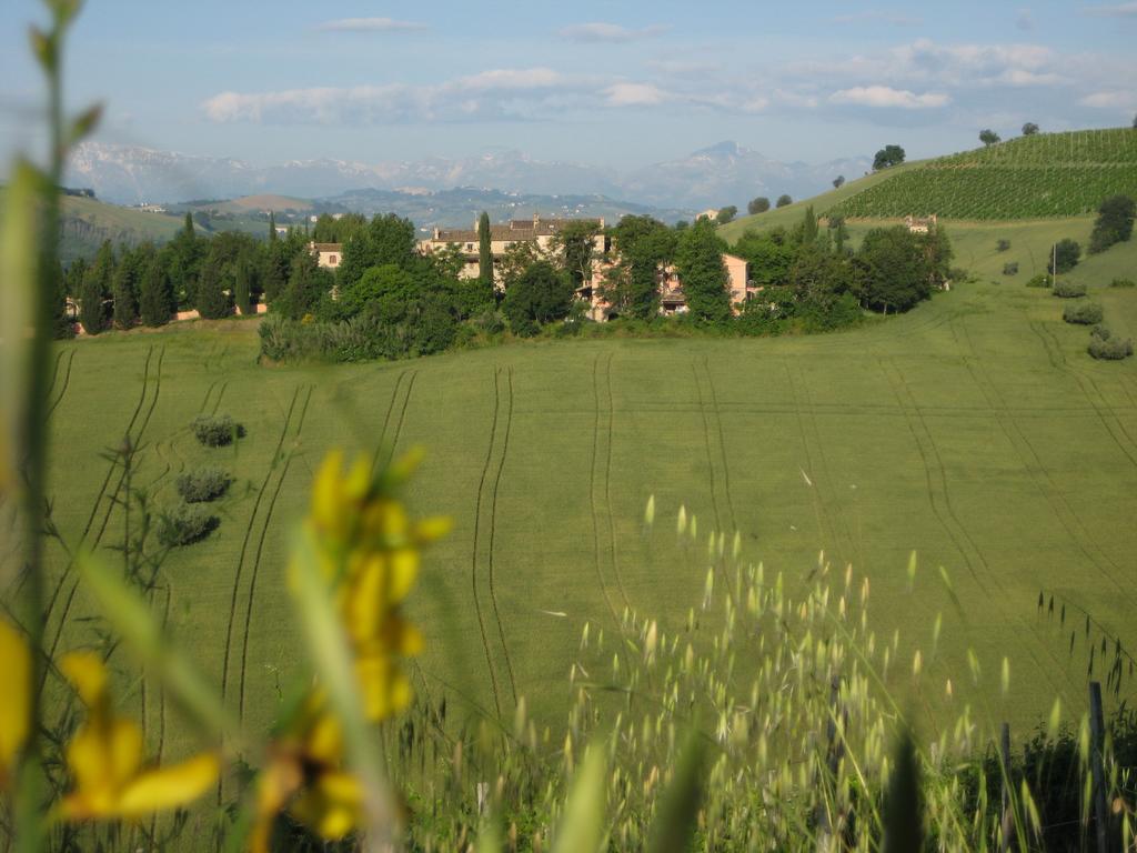 Agriturismo La Campana Βίλα Montefiore dellʼAso Εξωτερικό φωτογραφία