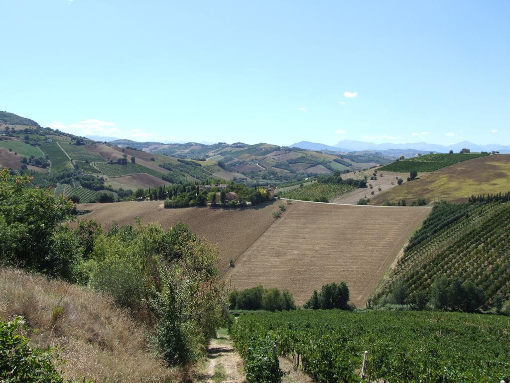 Agriturismo La Campana Βίλα Montefiore dellʼAso Εξωτερικό φωτογραφία